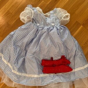 Dorthy Costume